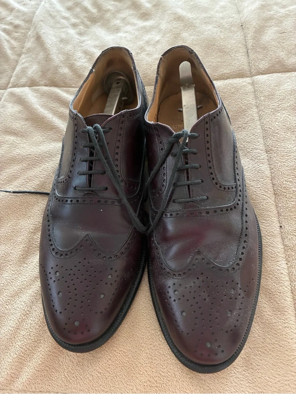 Bruno Magli Black Wingtip Leather Oxfords